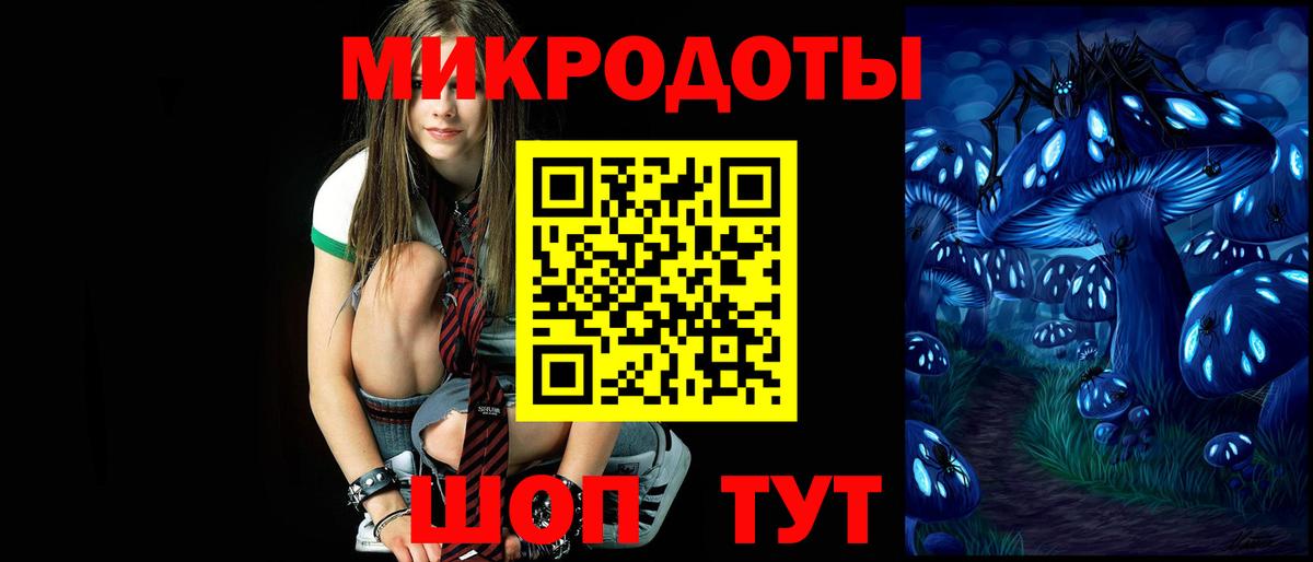 А ПВП Саратов