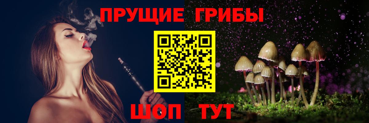 Галлюциногенные грибы Cubensis Саратов
